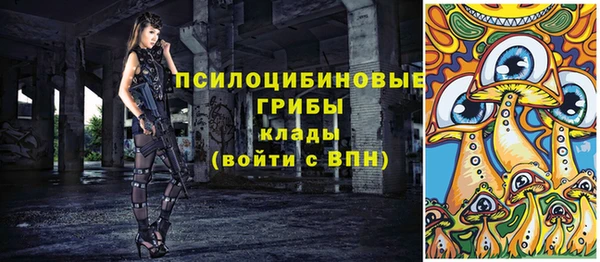 бошки Вяземский