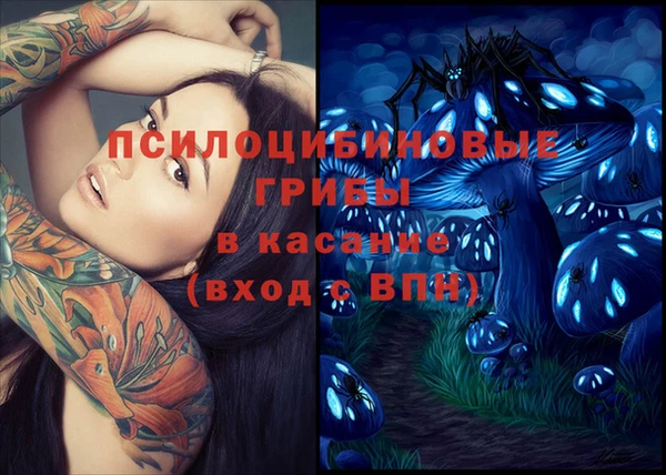 трава Вязьма